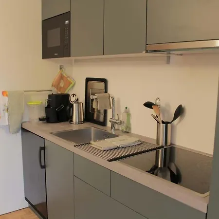 Plazzet 12 By Interhome Appartement Samedan